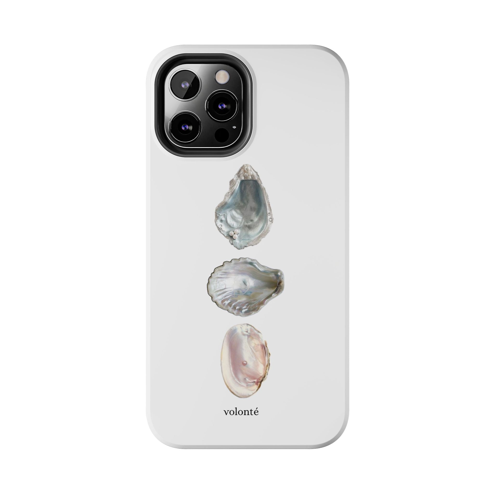 mermaid's treasure