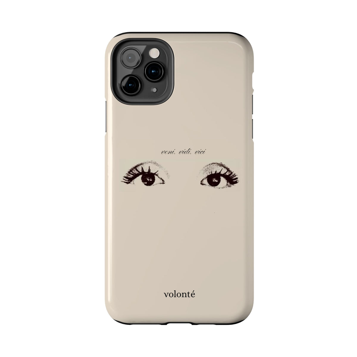 veni, vidi, vici, I see case