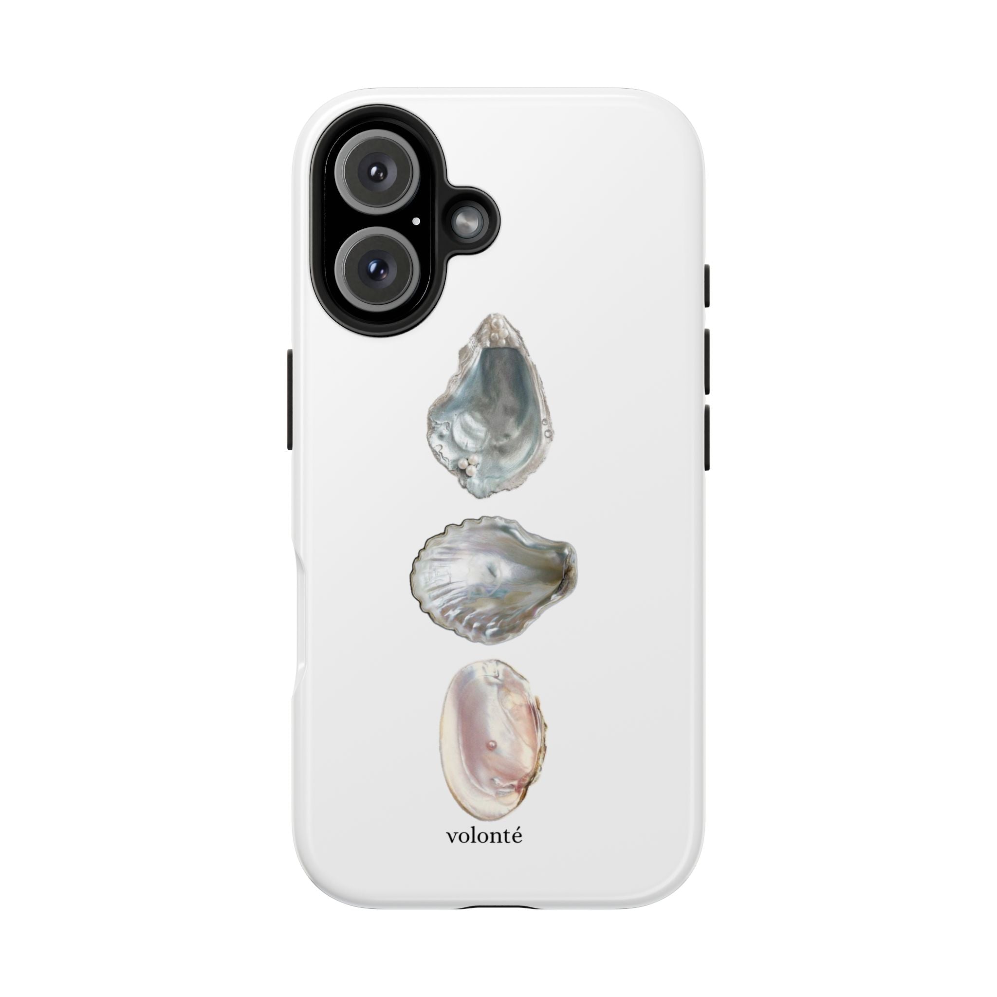 mermaid's treasure