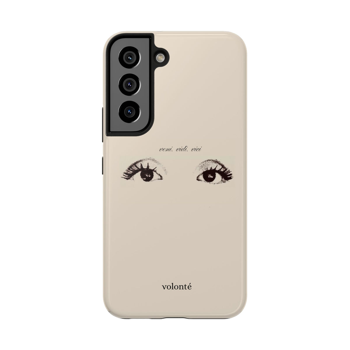 veni, vidi, vici, I see case