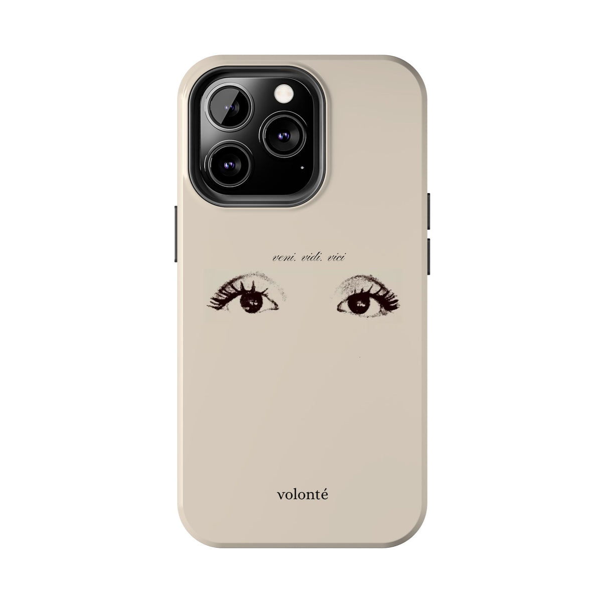 veni, vidi, vici, I see case