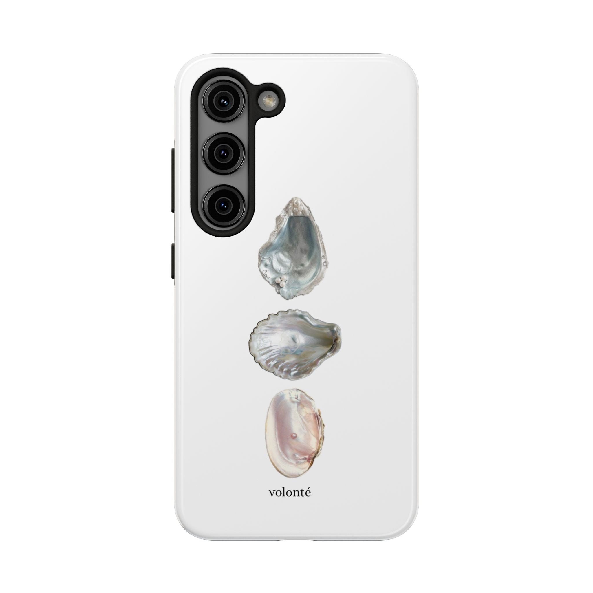 mermaid's treasure