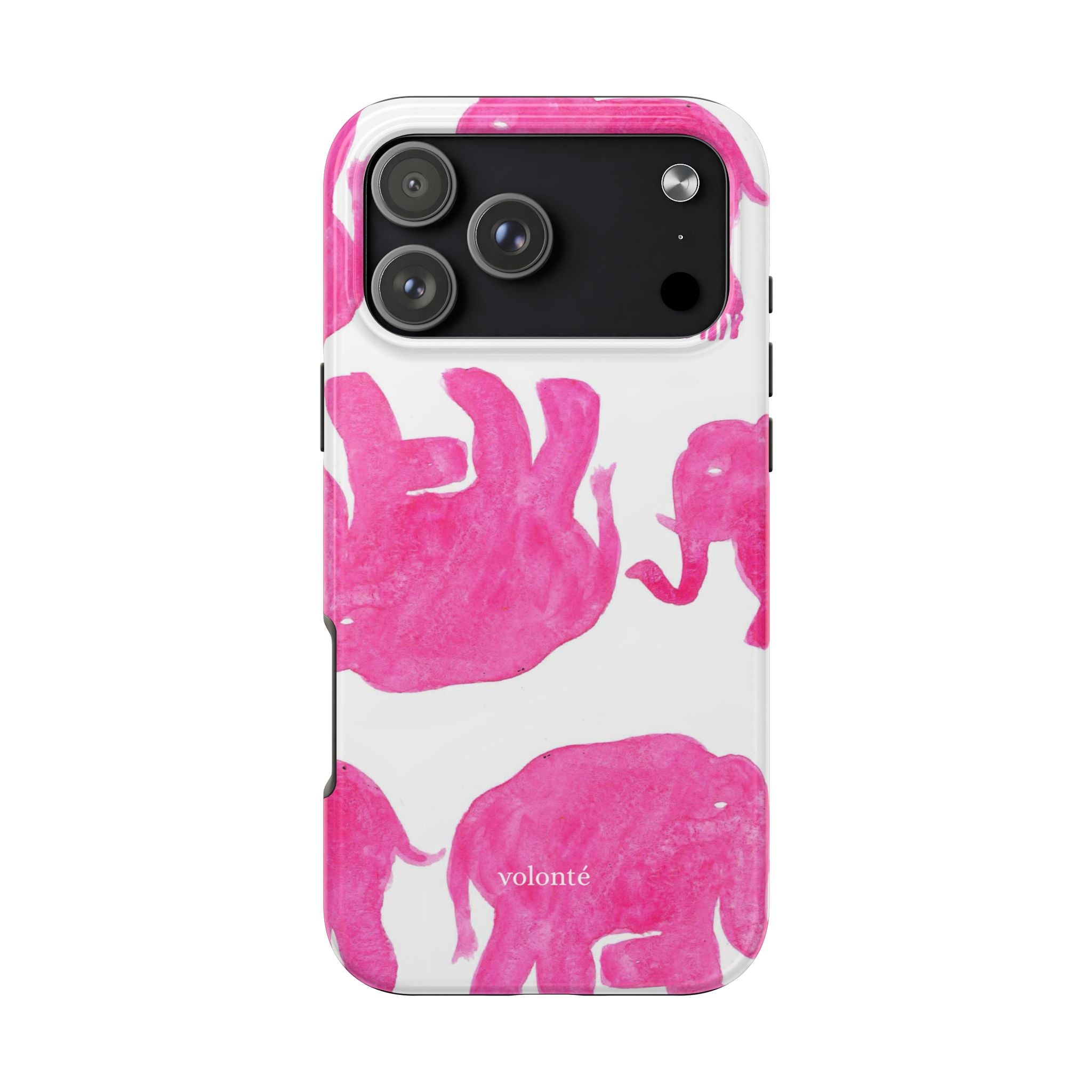 the drunk elephant case