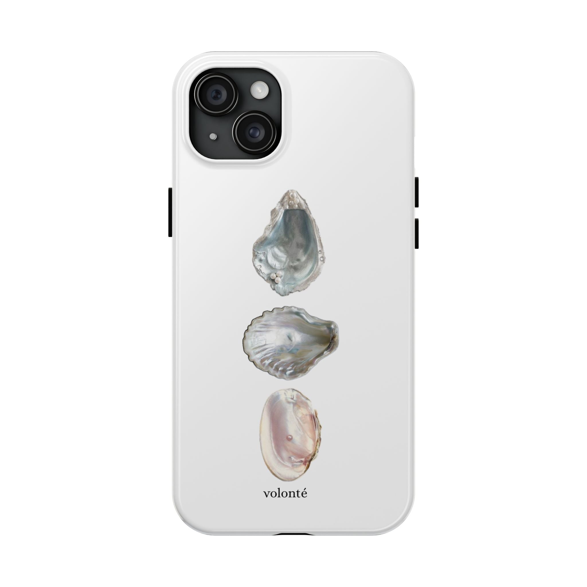 mermaid's treasure