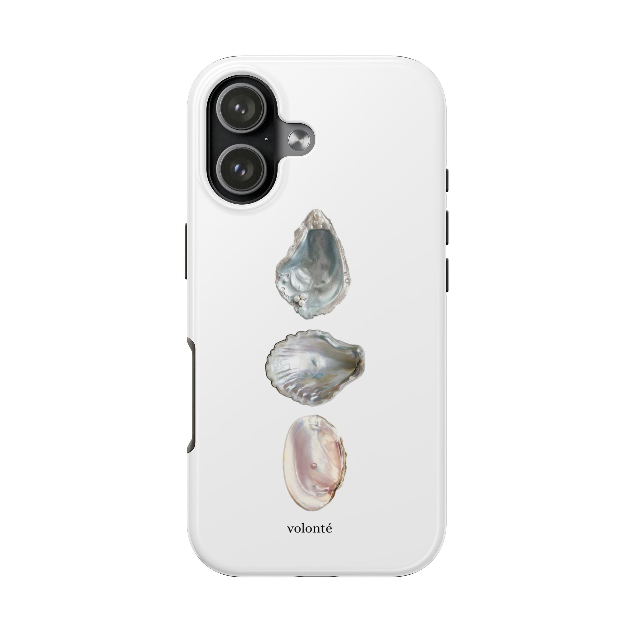 mermaid's treasure