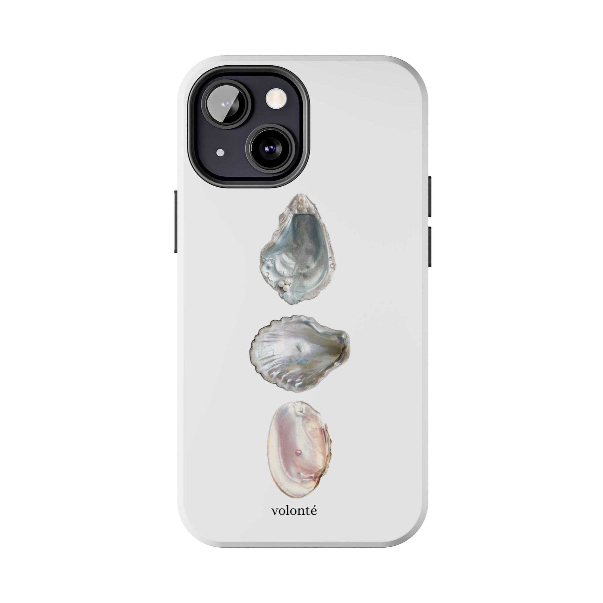 mermaid's treasure