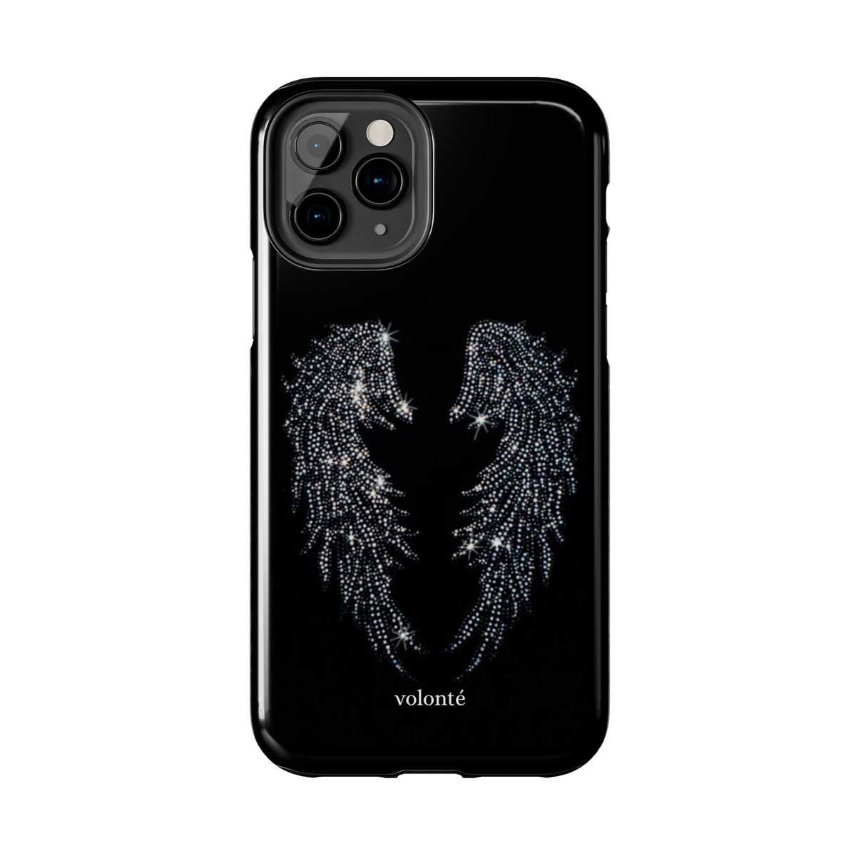 flying high case