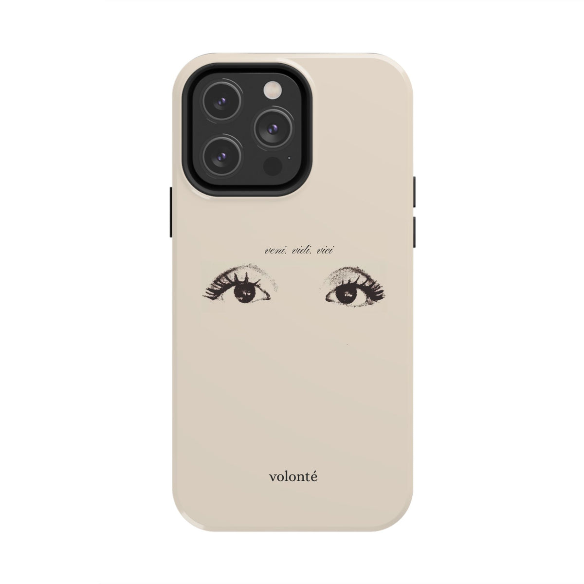 veni, vidi, vici, I see case