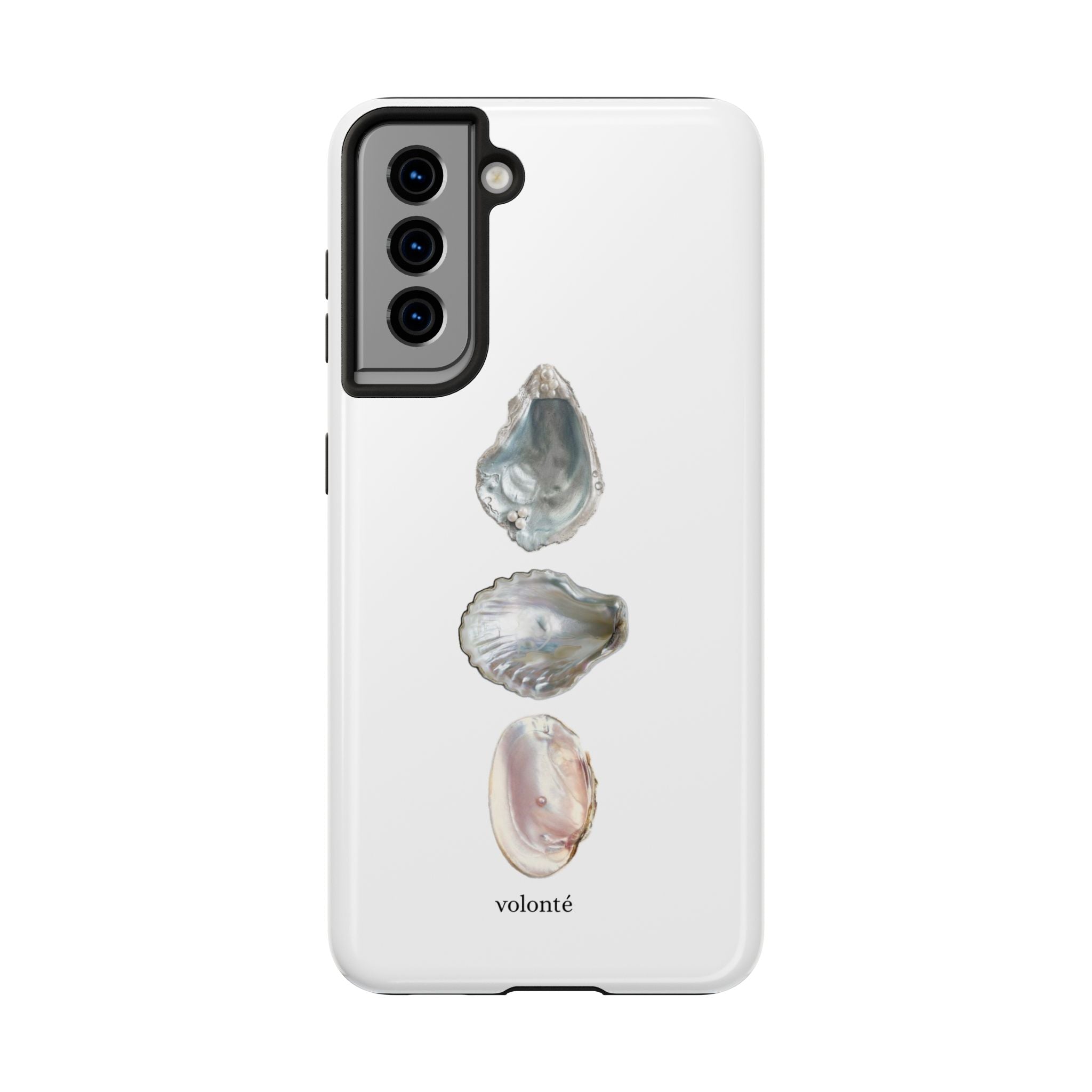 mermaid's treasure