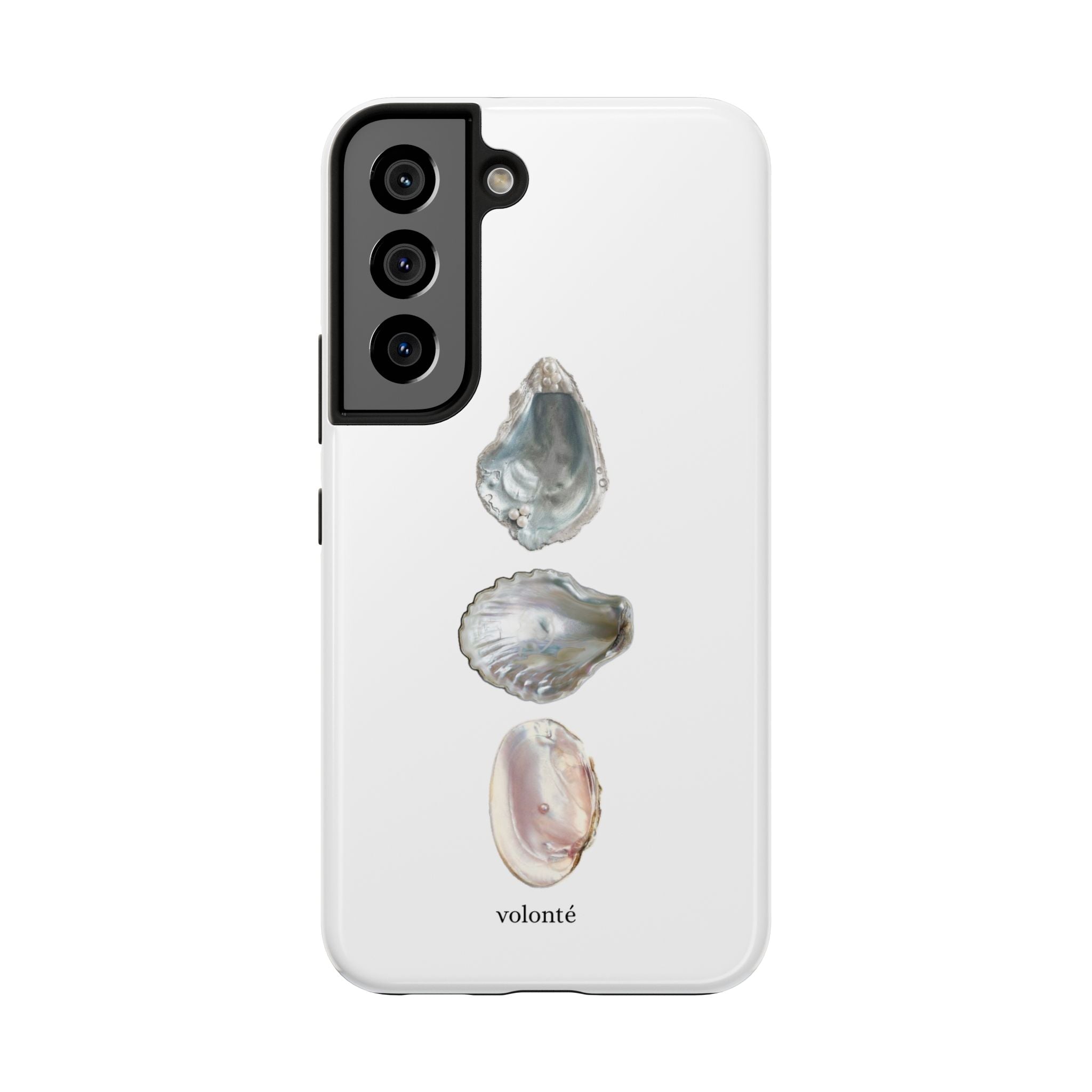 mermaid's treasure