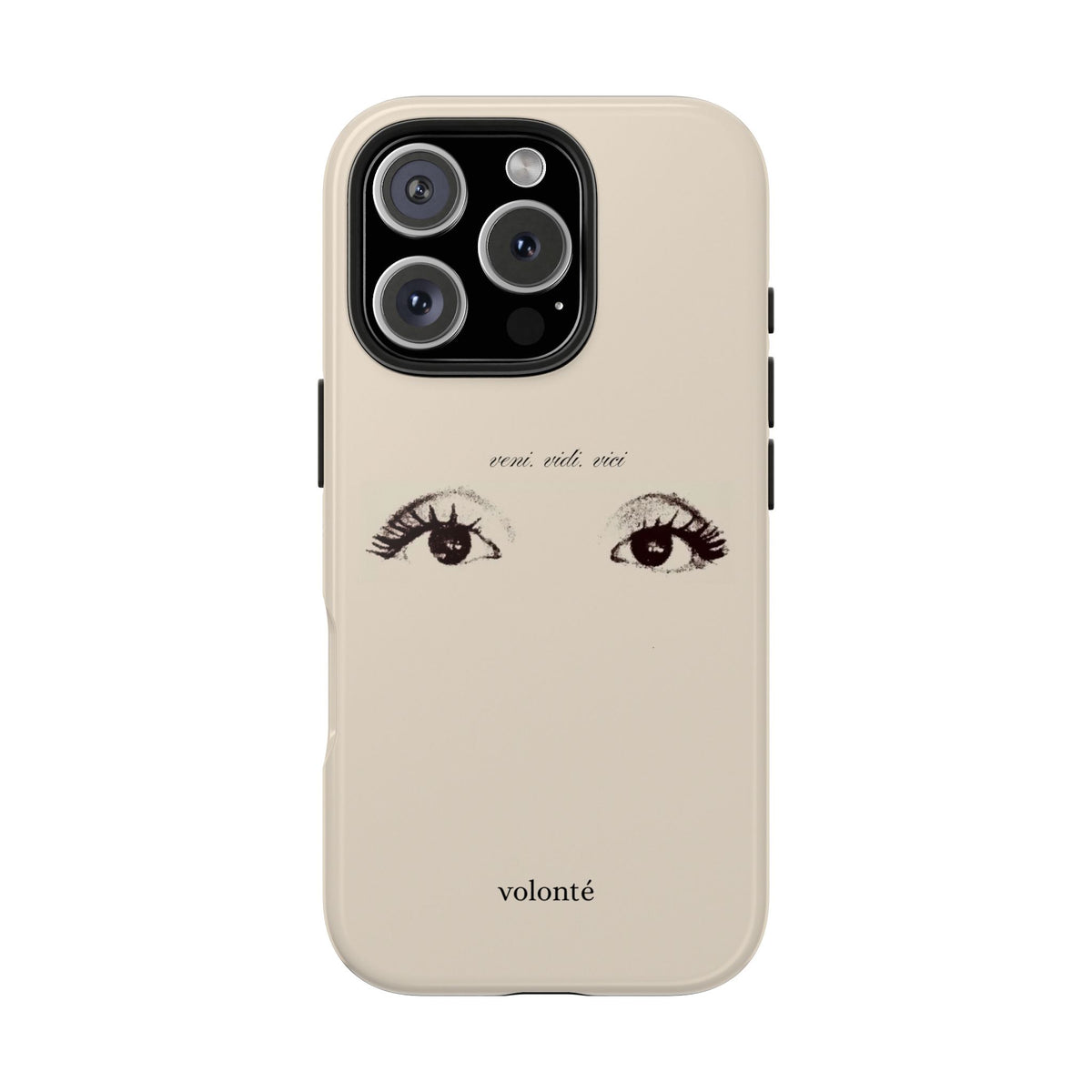 veni, vidi, vici, I see case