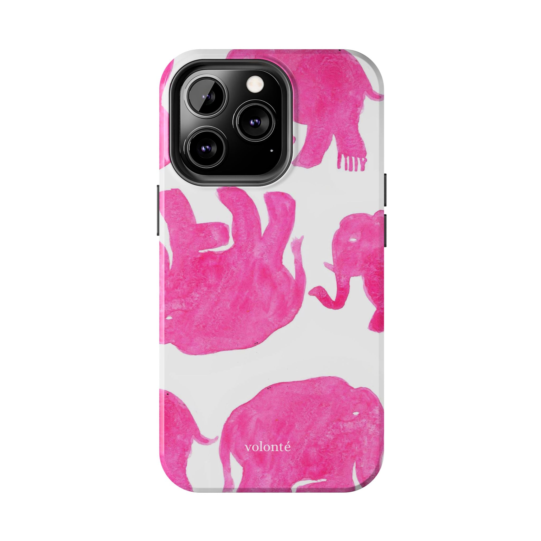 the drunk elephant case