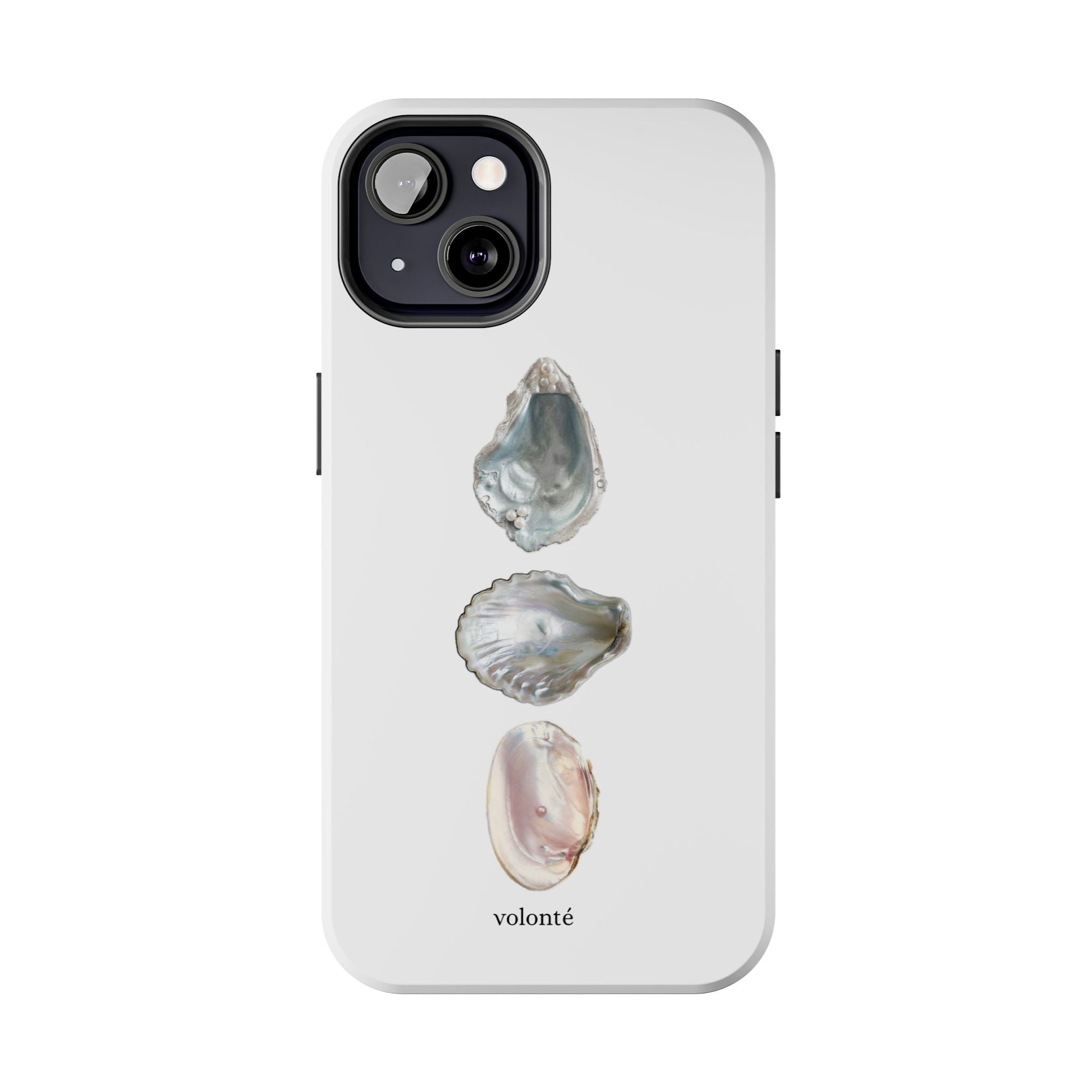 mermaid's treasure