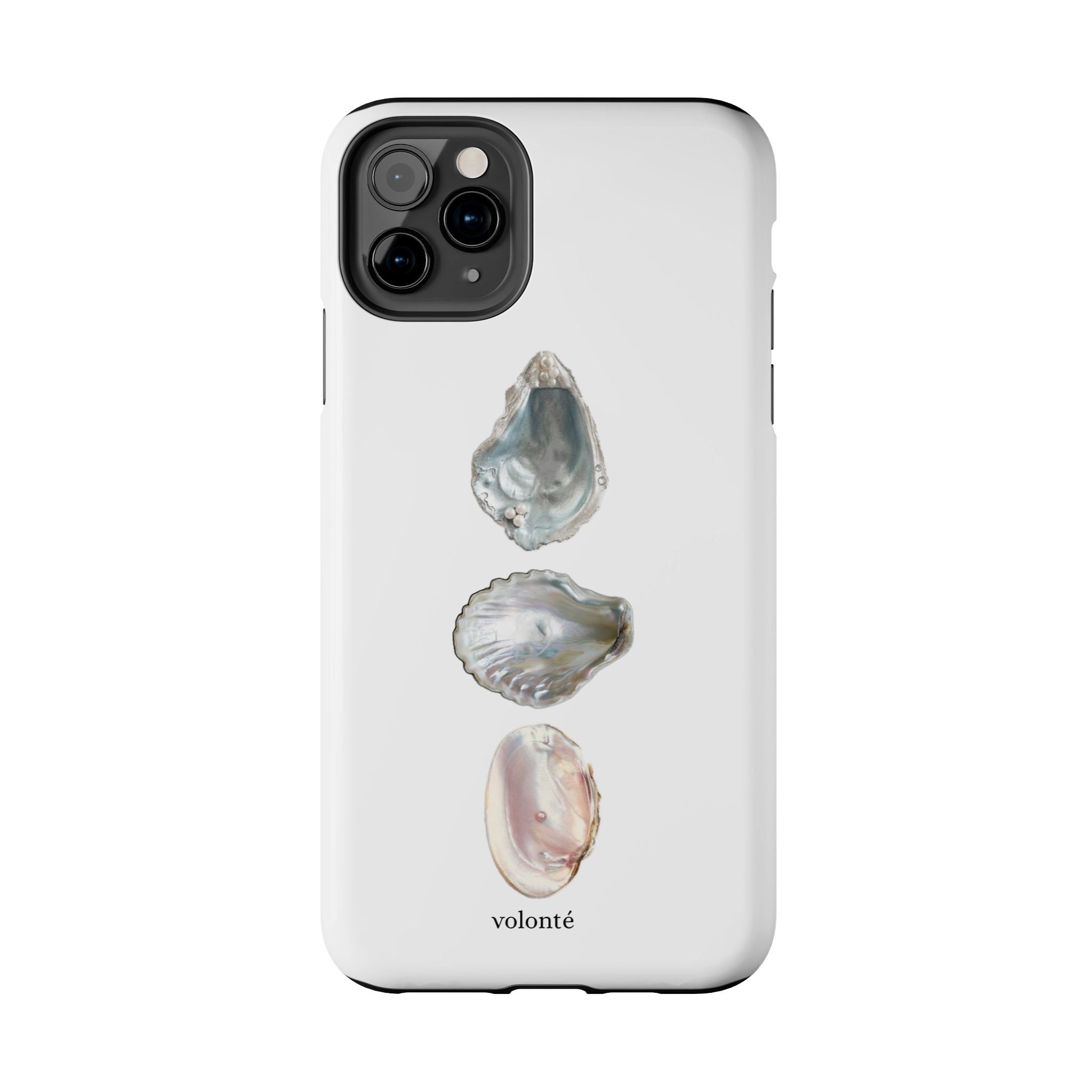 mermaid's treasure