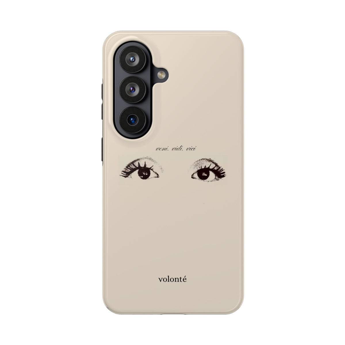 veni, vidi, vici, I see case