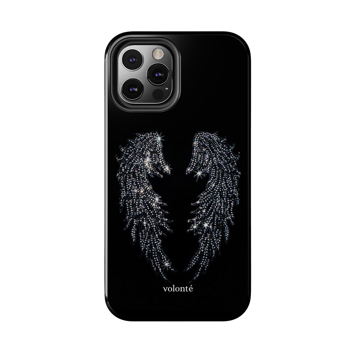 flying high case