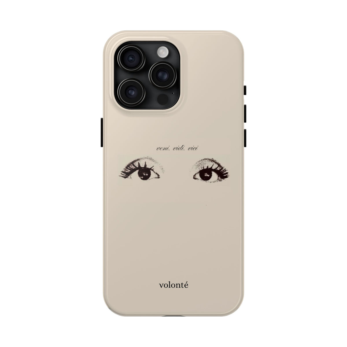 veni, vidi, vici, I see case