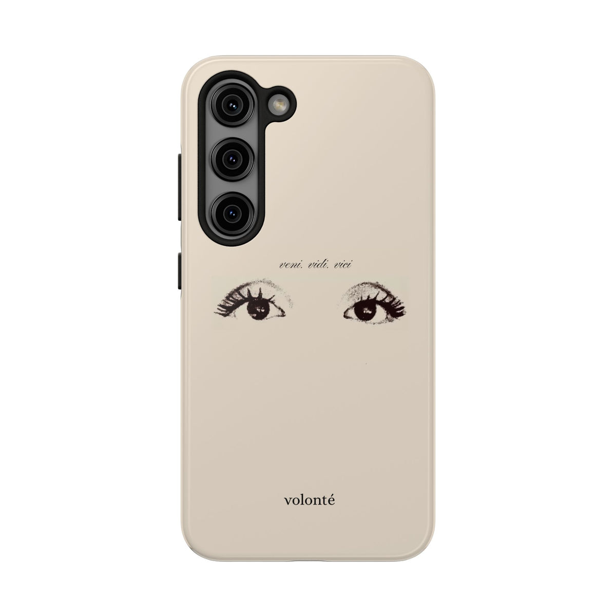 veni, vidi, vici, I see case