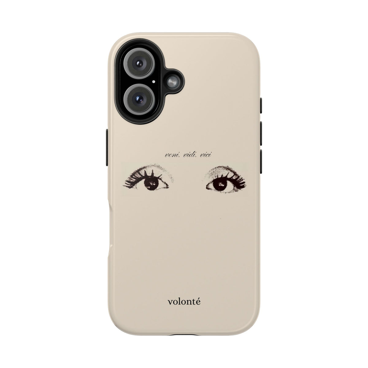 veni, vidi, vici, I see case
