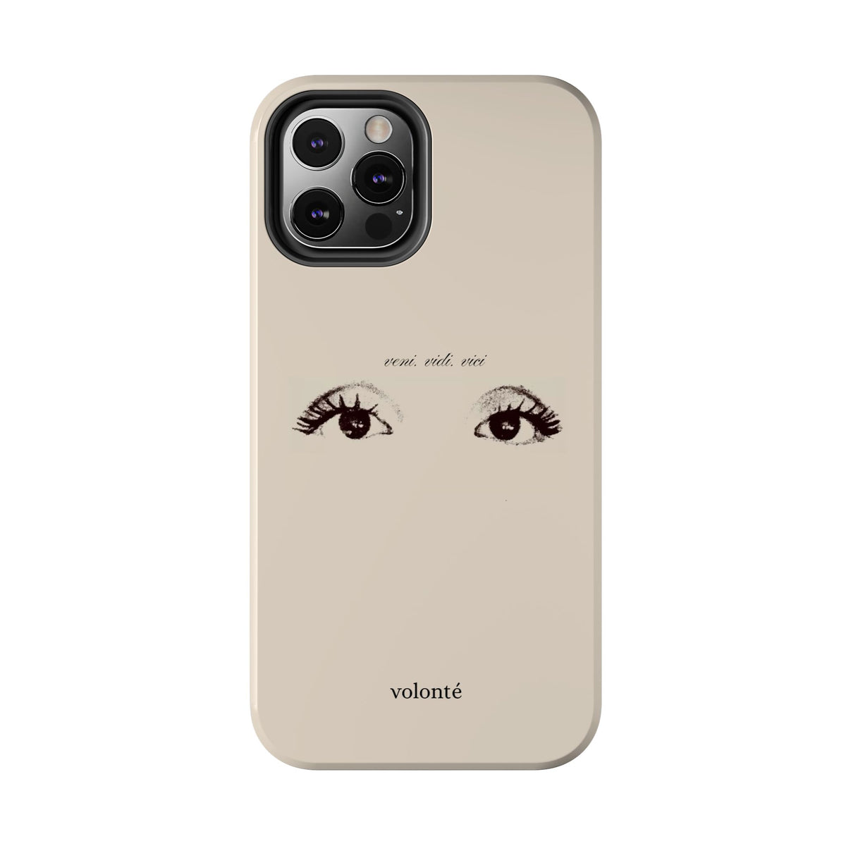veni, vidi, vici, I see case