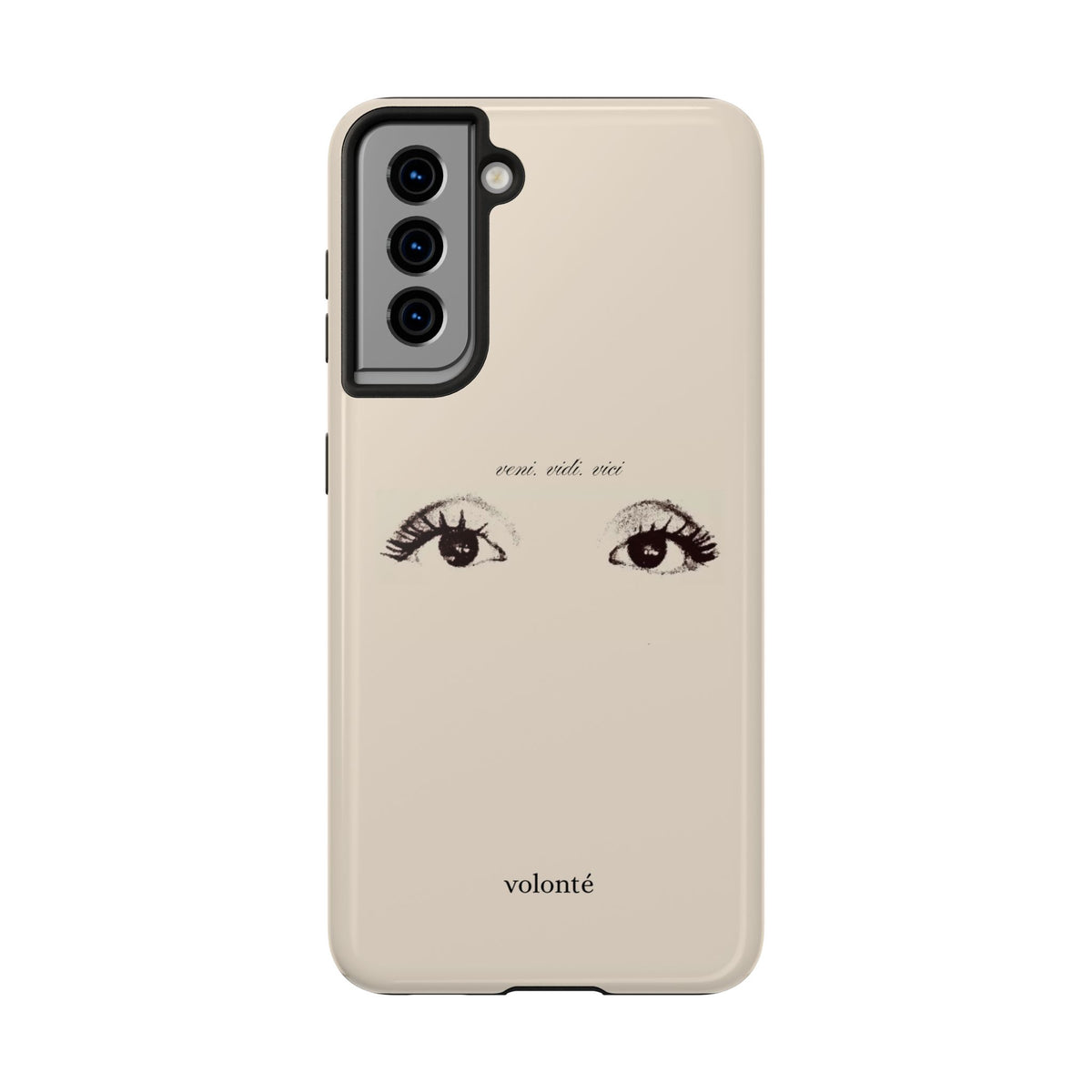 veni, vidi, vici, I see case