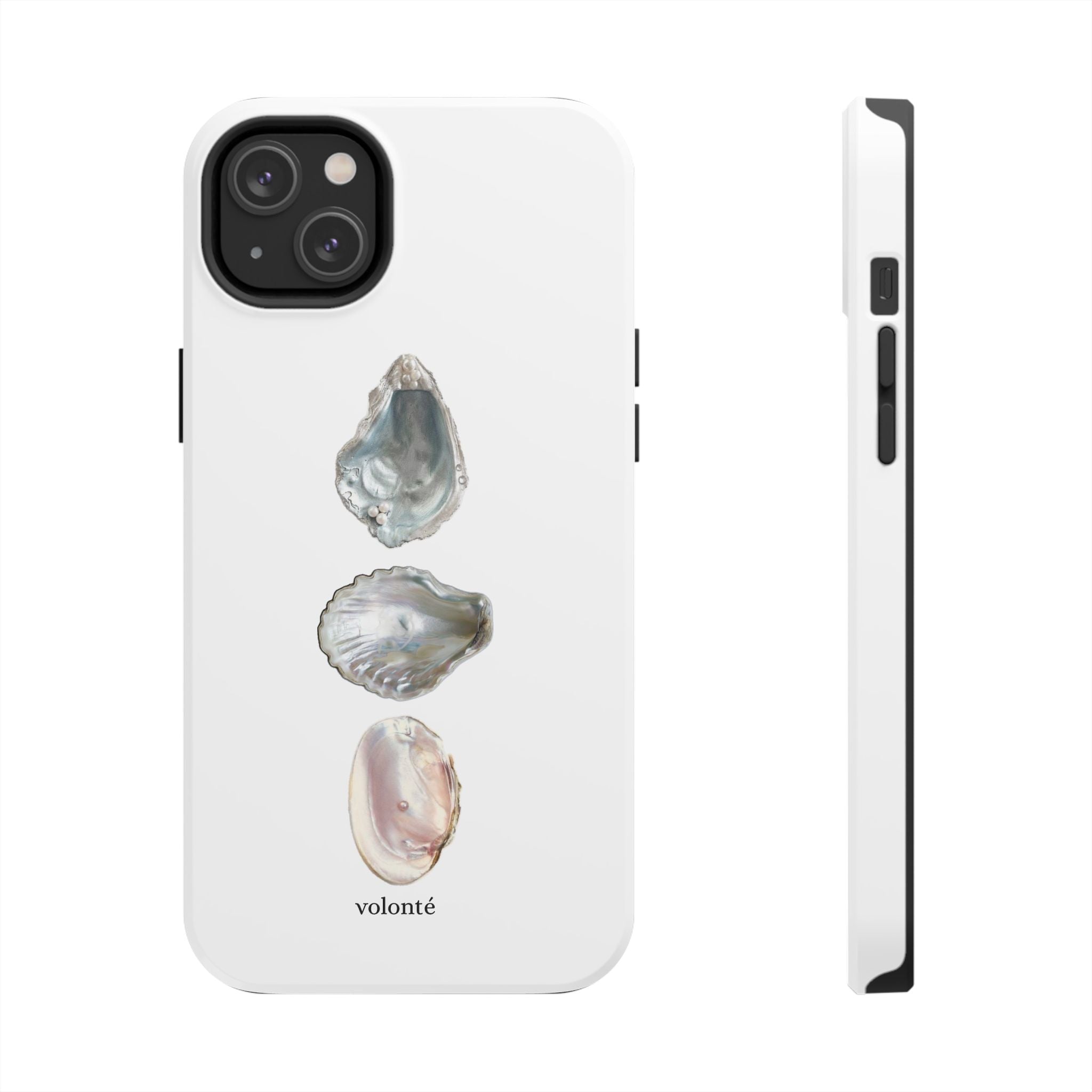 mermaid's treasure