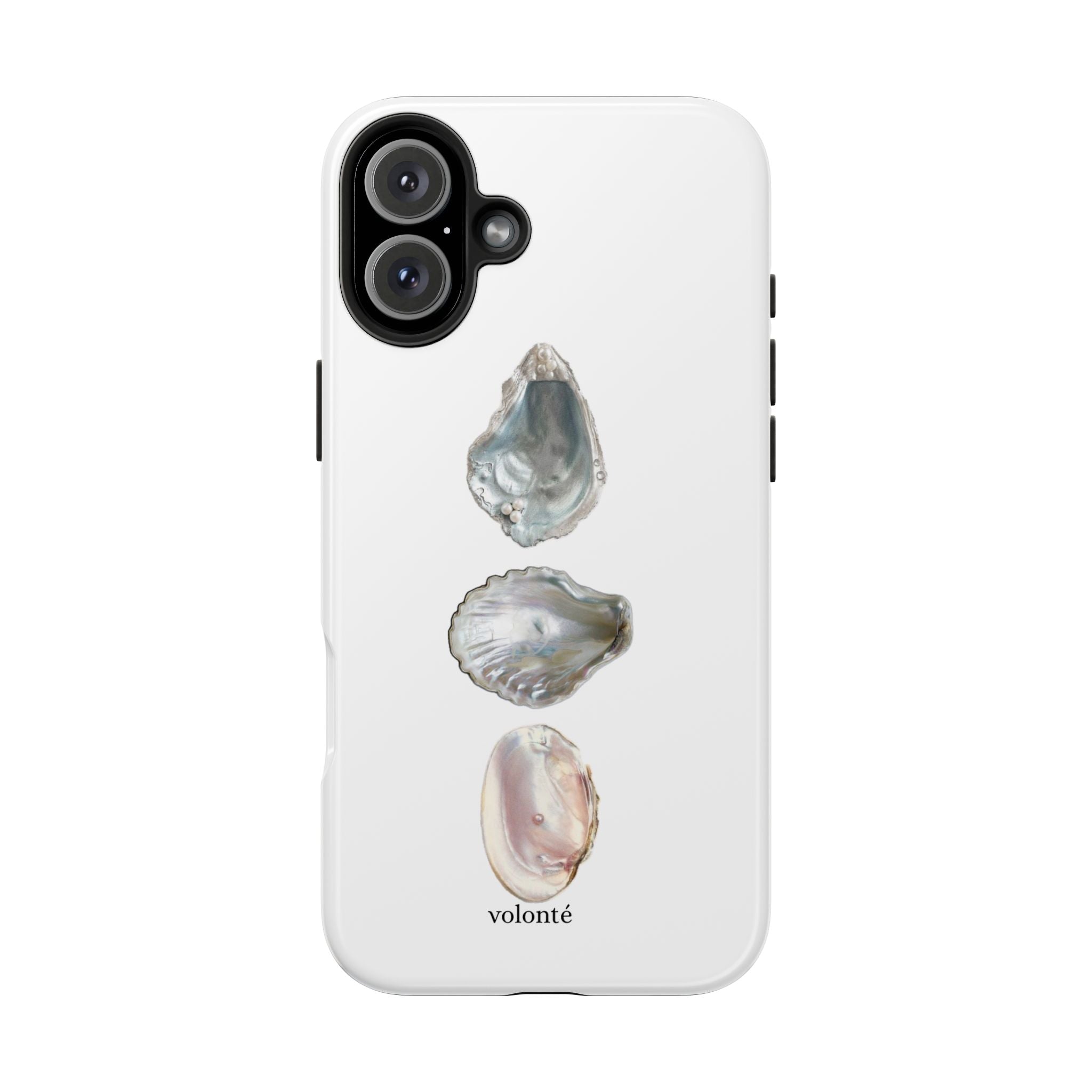 mermaid's treasure