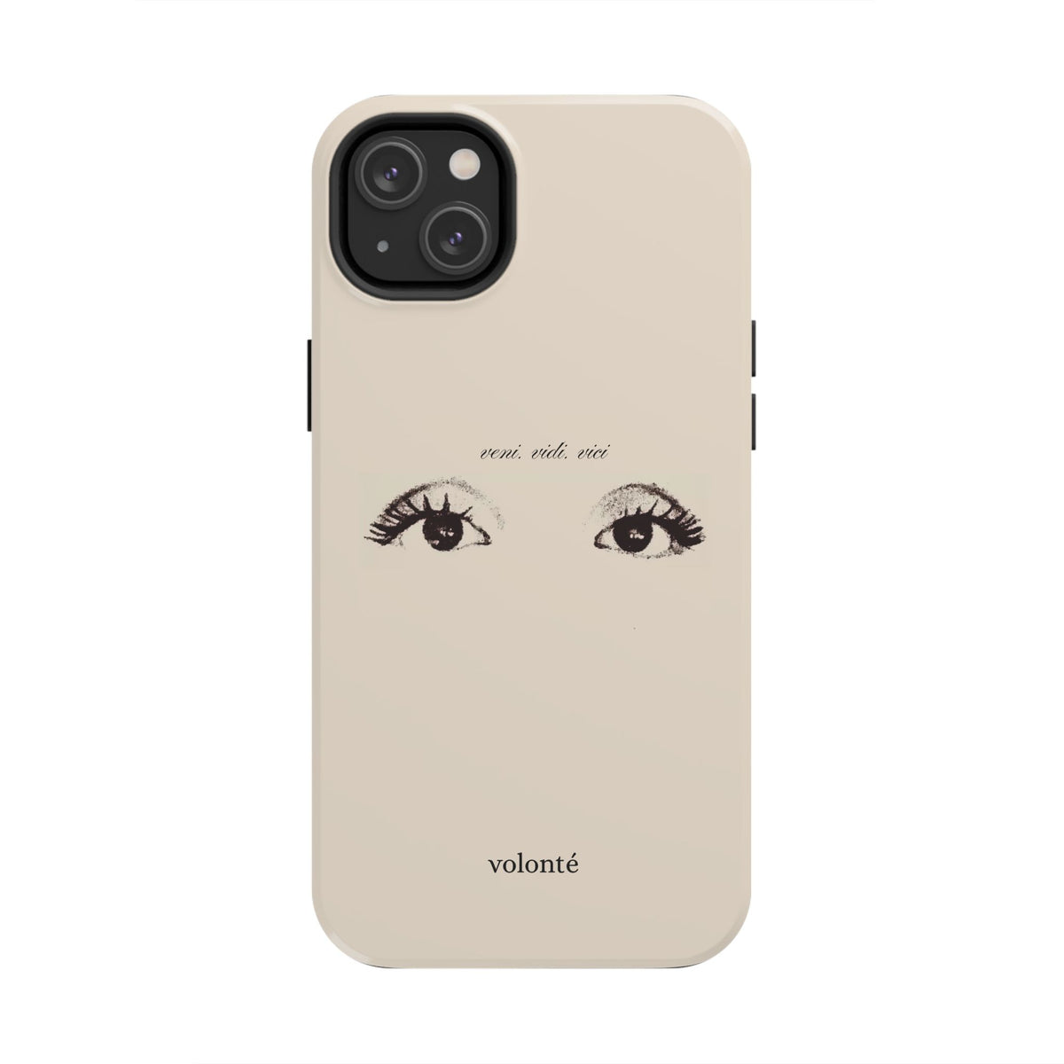 veni, vidi, vici, I see case