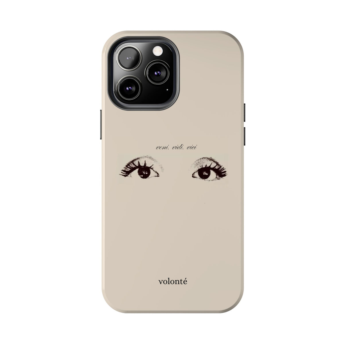 veni, vidi, vici, I see case