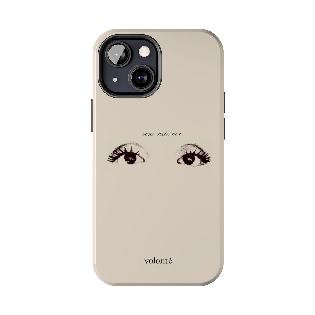 veni, vidi, vici, I see case